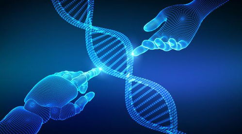 禾元生物IPO之路 業(yè)績(jī)連年虧損，技術(shù)開(kāi)發(fā)與產(chǎn)品商業(yè)化雙重挑戰(zhàn)